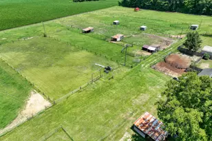 2195 S Nc 111 Hwy S, Chinquapin, NC 28521 - Photo 72