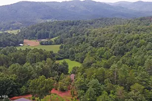 475 Rivercane Rd, Brasstown, NC 28902 - Photo 62