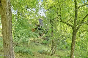 475 Rivercane Rd, Brasstown, NC 28902 - Photo 54