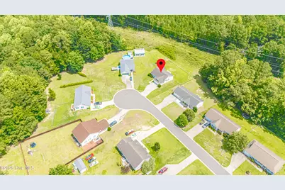 253 Farmstead Court, Rockingham, NC 28379 - Photo 4