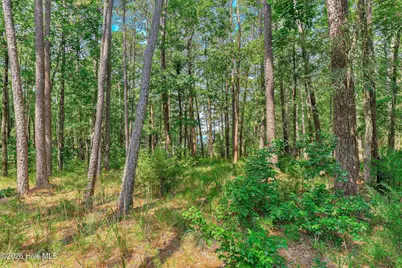 229 Windy Circle, McCormick, SC 29835 - Photo 50