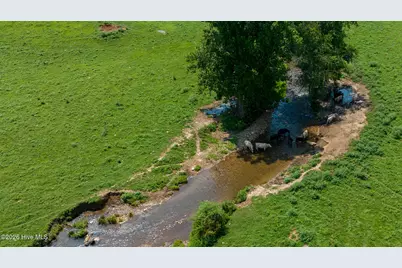 51.20 Ac Bethabara Road, Hayesville, NC 28904 - Photo 6