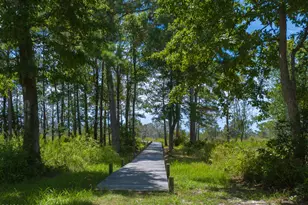 286 Marsh Haven Dr, Sneads Ferry, NC 28460 - Photo 44