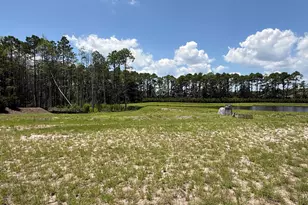 5515 Fayes Meadow Ct, Wilmington, NC 28412 - Photo 2