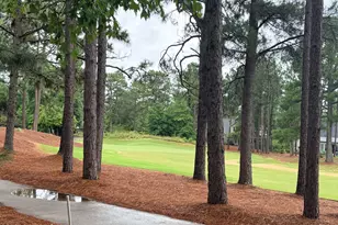 48 Royal County Down, Pinehurst, NC 28374 - Photo 50
