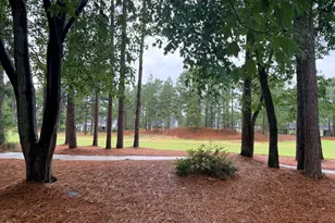 48 Royal County Down, Pinehurst, NC 28374 - Photo 52