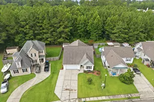 1004 Bally Bunion Lane, Burgaw, NC 28425 - Photo 4