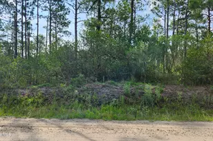 Lot 453 Queens Rd, Southport, NC 28461 - Photo 1