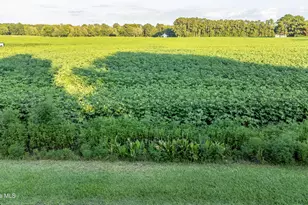 Tbd Whitehat Rd, Hertford, NC 27944 - Photo 1