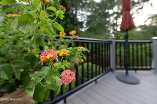 12 Kilrea Ct, Pinehurst, NC 28374 - Photo 60