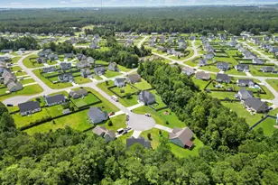 906 Gulf Chase Ct, Sneads Ferry, NC 28460 - Photo 48