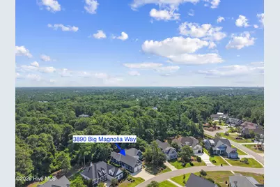 3890 Big Magnolia Way, Southport, NC 28461 - Photo 62