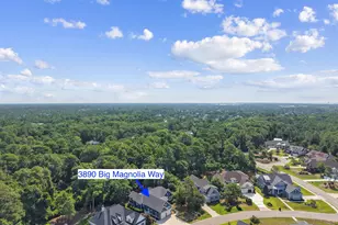 3890 Big Magnolia Way, Southport, NC 28461 - Photo 62