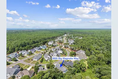 3890 Big Magnolia Way, Southport, NC 28461 - Photo 68