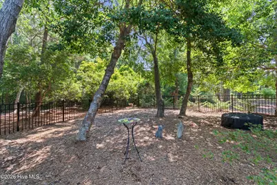 3890 Big Magnolia Way, Southport, NC 28461 - Photo 50
