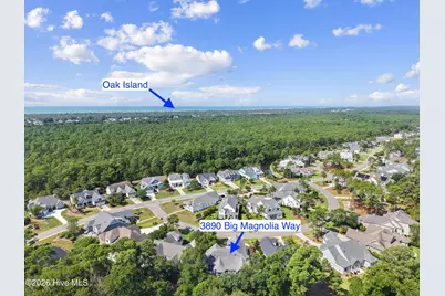 3890 Big Magnolia Way, Southport, NC 28461 - Photo 66