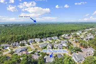 3890 Big Magnolia Way, Southport, NC 28461 - Photo 66