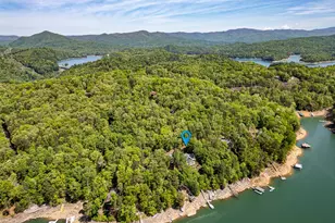 509 Lonesome Pine Rd, Murphy, NC 28906 - Photo 50