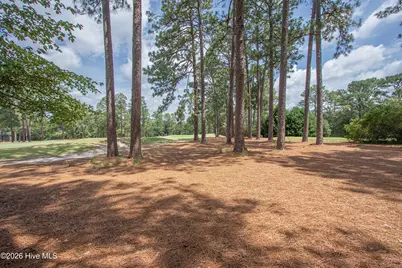 185 Baltusrol Lane, Pinehurst, NC 28374 - Photo 60