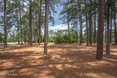 185 Baltusrol Lane, Pinehurst, NC 28374 - Photo 62