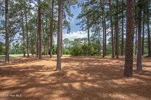185 Baltusrol Ln, Pinehurst, NC 28374 - Photo 62
