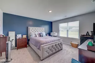 6205 Centipede Pl, Castle Hayne, NC 28429 - Photo 14