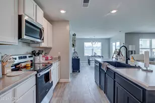 6205 Centipede Pl, Castle Hayne, NC 28429 - Photo 10