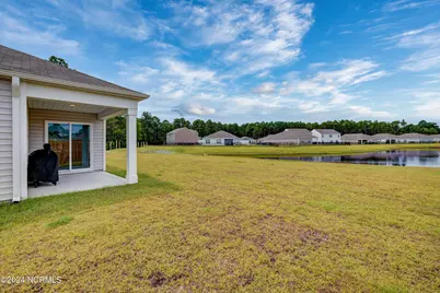 6205 Centipede Place, Castle Hayne, NC 28429 - Photo 32
