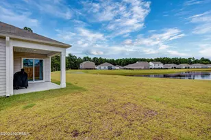 6205 Centipede Pl, Castle Hayne, NC 28429 - Photo 32