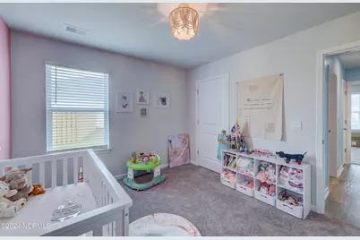 6205 Centipede Place, Castle Hayne, NC 28429 - Photo 18
