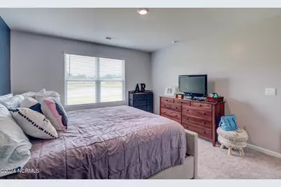 6205 Centipede Place, Castle Hayne, NC 28429 - Photo 16