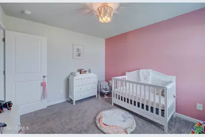 6205 Centipede Place, Castle Hayne, NC 28429 - Photo 18