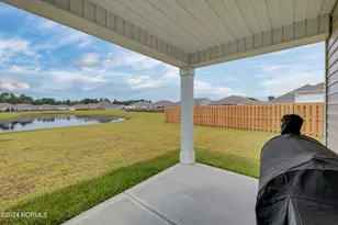 6205 Centipede Pl, Castle Hayne, NC 28429 - Photo 30