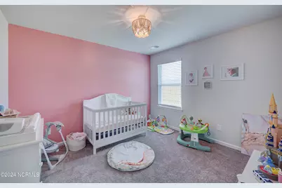 6205 Centipede Place, Castle Hayne, NC 28429 - Photo 16