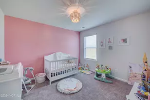 6205 Centipede Pl, Castle Hayne, NC 28429 - Photo 16