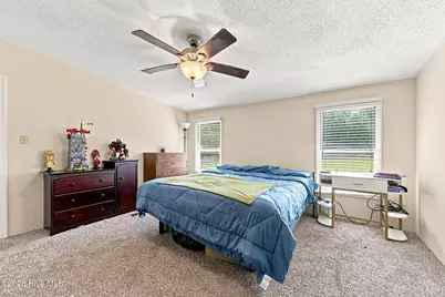 931 Haw Branch Road, Beulaville, NC 28518 - Photo 16