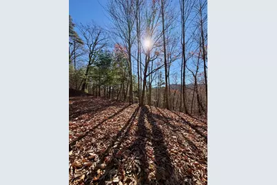 Lot 15 View Ridge Trail, Murphy, NC 28906 - Photo 6