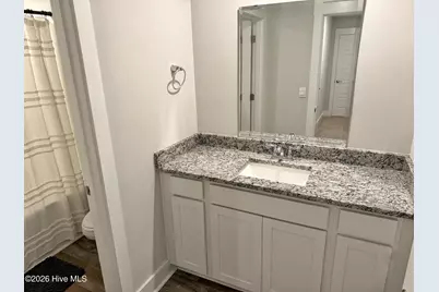 229 Red Vineyard Way, Jacksonville, NC 28546 - Photo 32