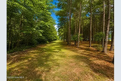 28 Bunn Road, Kenly, NC 27542 - Photo 4