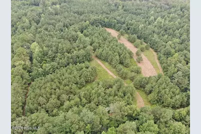 359 Roe and Sarah Drive, Clarkton, NC 28433 - Photo 20