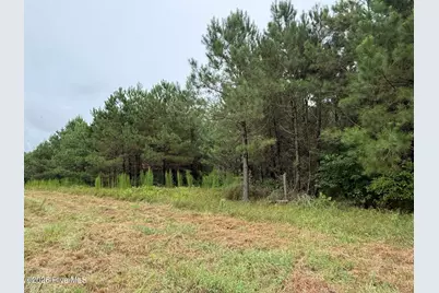 359 Roe and Sarah Drive, Clarkton, NC 28433 - Photo 18