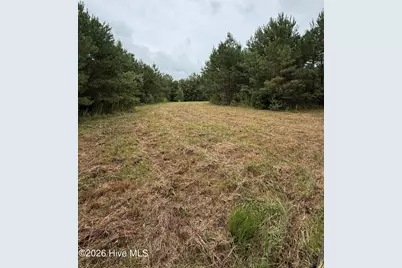 359 Roe and Sarah Drive, Clarkton, NC 28433 - Photo 12