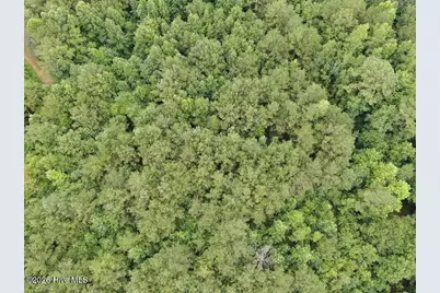 359 Roe and Sarah Drive, Clarkton, NC 28433 - Photo 28