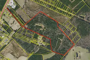 359 Roe and Sarah Dr, Clarkton, NC 28433 - Photo 1