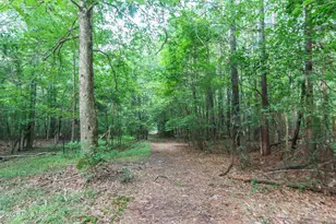 1225 Lynch's Corner Rd, Elizabeth City, NC 27909 - Photo 34