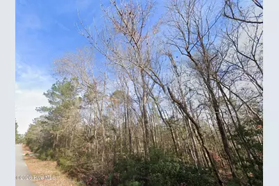 143 N Line Drive, Hampstead, NC 28443 - Photo 4