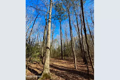 0 Fred Circle S, Kenly, NC 27542 - Photo 20