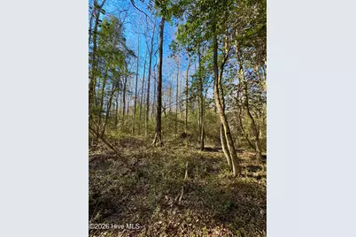 0 Fred Circle S, Kenly, NC 27542 - Photo 6