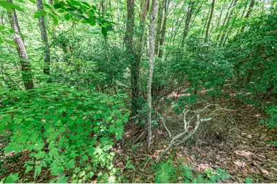 Lot 56 Indian Rock Springs, Murphy, NC 28906 - Photo 14