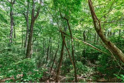 Lot 56 Indian Rock Springs, Murphy, NC 28906 - Photo 10